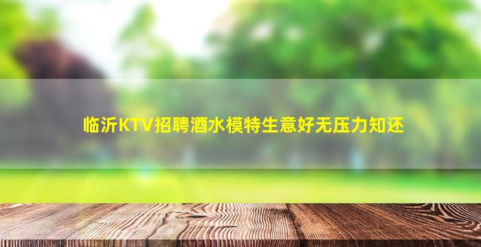 临沂KTV招聘酒水模特生意好无压力知还